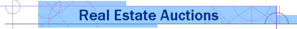 Real Estate Auctions